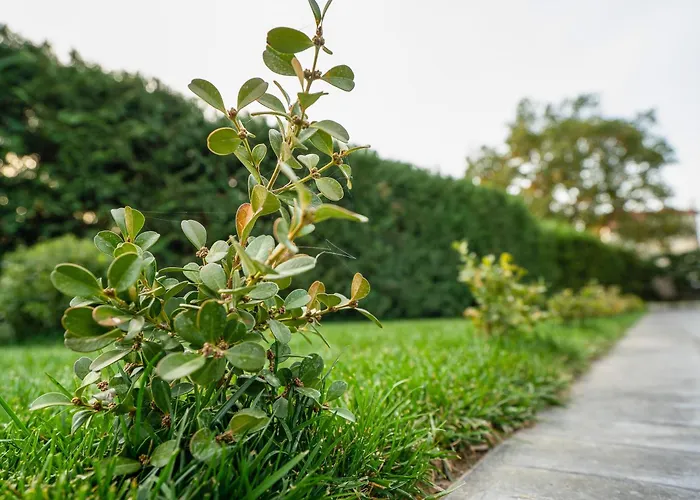 Апартаменты Meteora Vibes