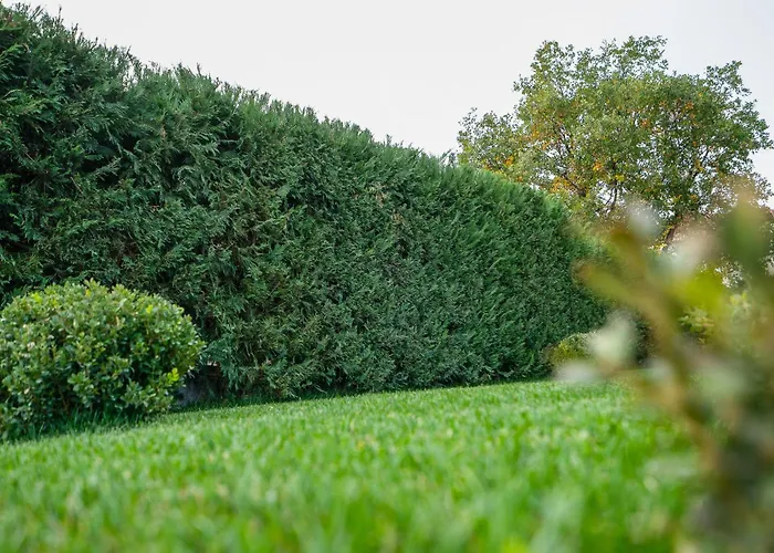 Meteora Vibes Апартаменты *